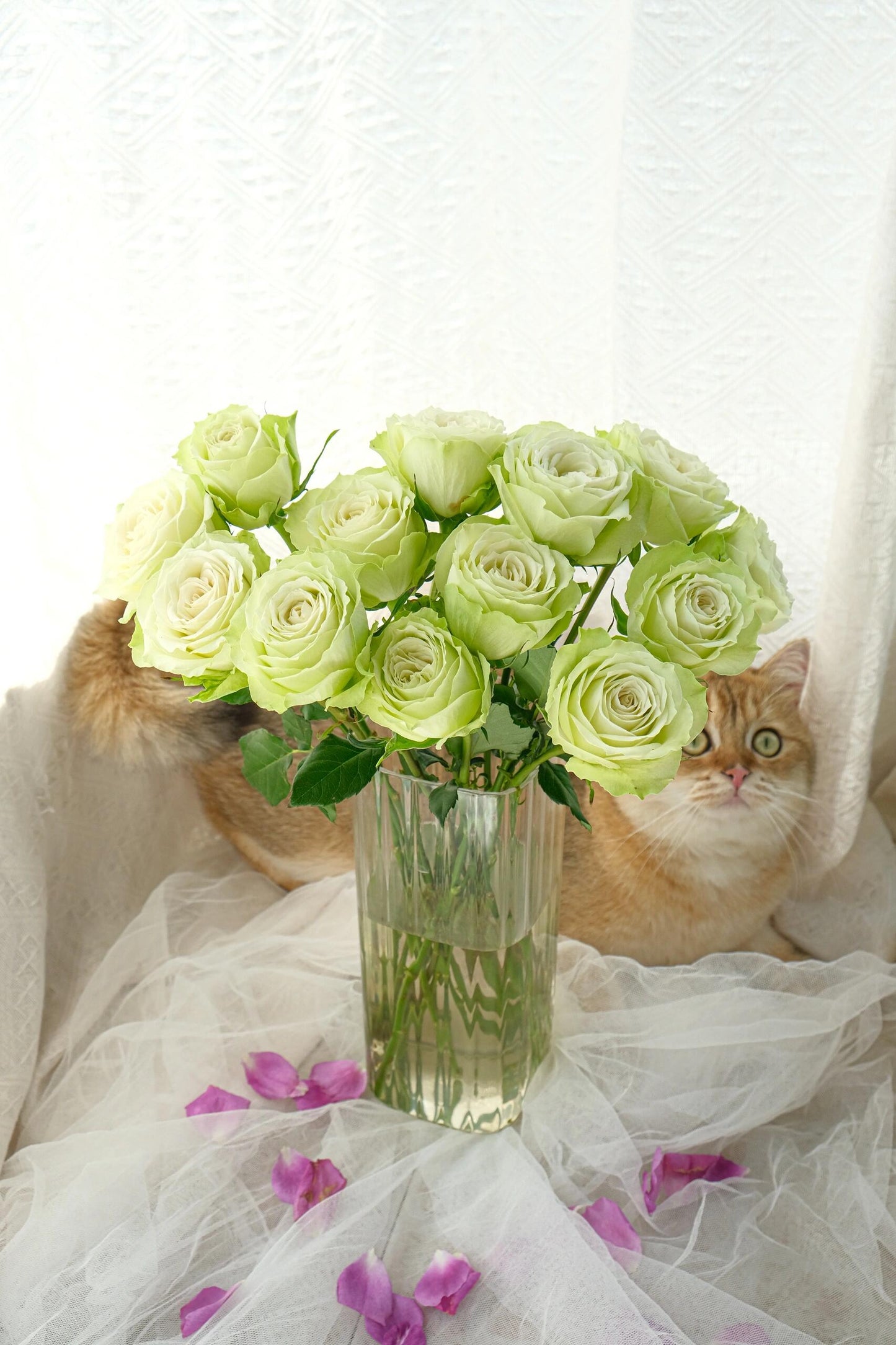 Rare Rose ‘ Mint Tea | ミントティー ‘ 薄荷茶 -