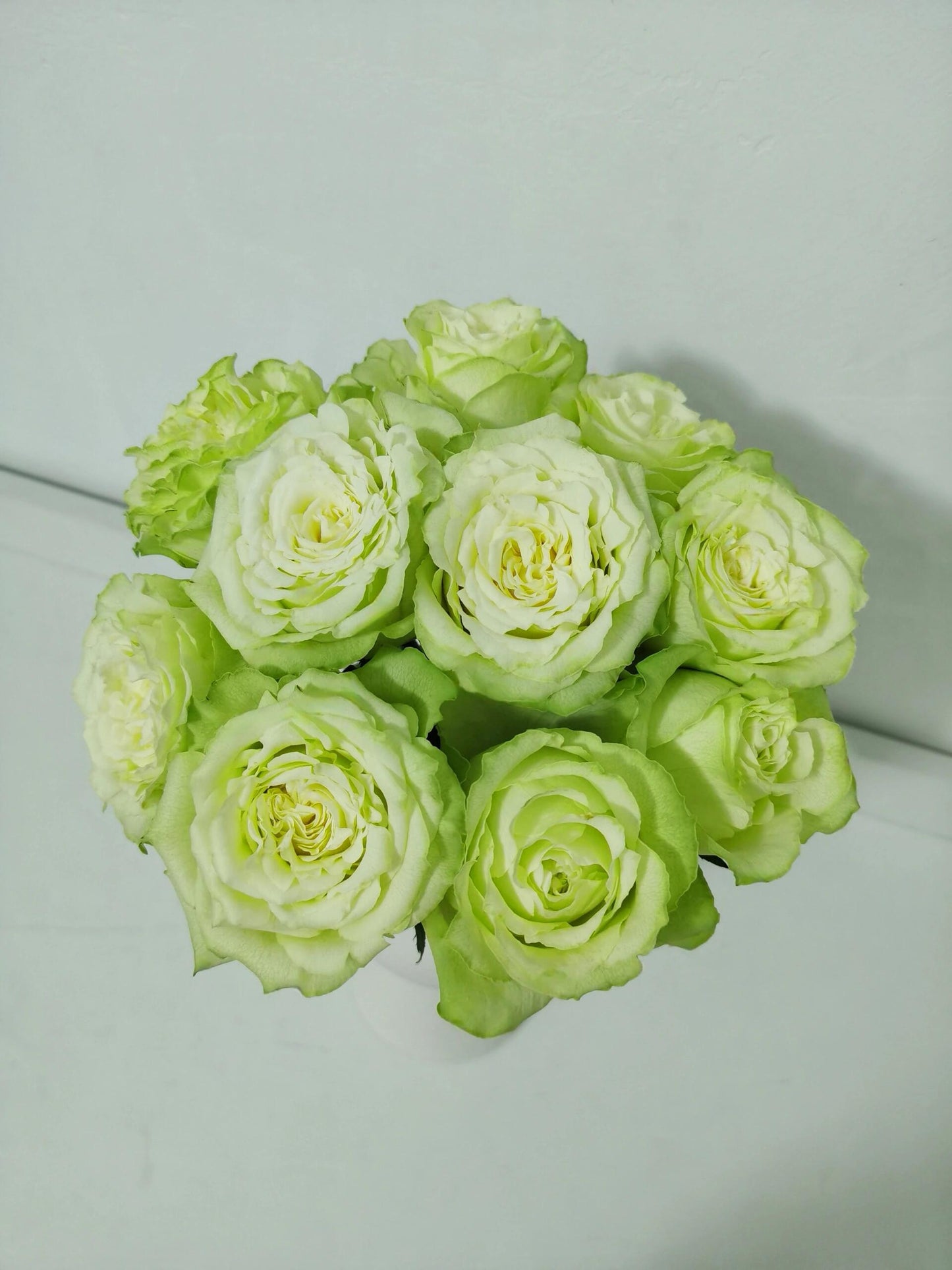 Rare Rose ‘ Mint Tea | ミントティー ‘ 薄荷茶 -