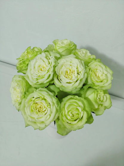 Rare Rose ‘ Mint Tea | ミントティー ‘ 薄荷茶 -