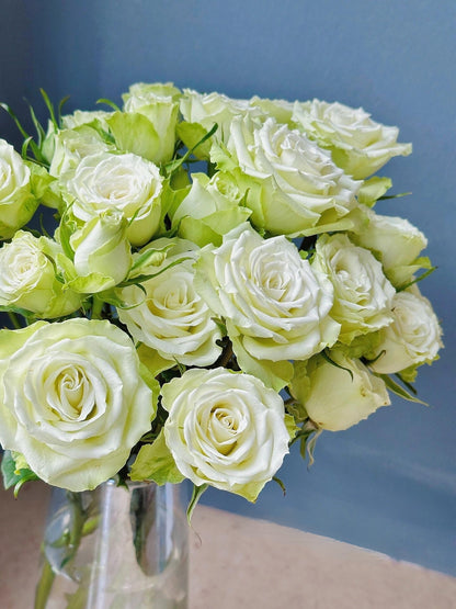 Rare Rose ‘ Mint Tea | ミントティー ‘ 薄荷茶 -