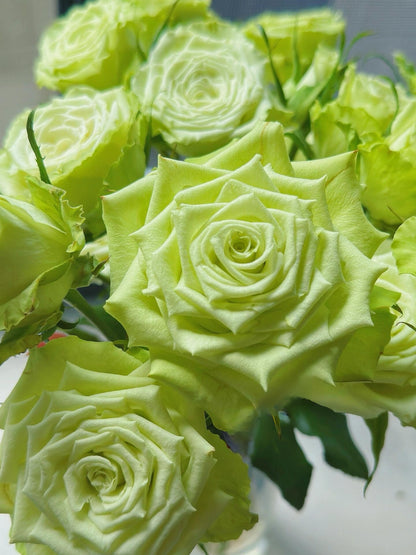 Rare Rose ‘ Mint Tea | ミントティー ‘ 薄荷茶 -