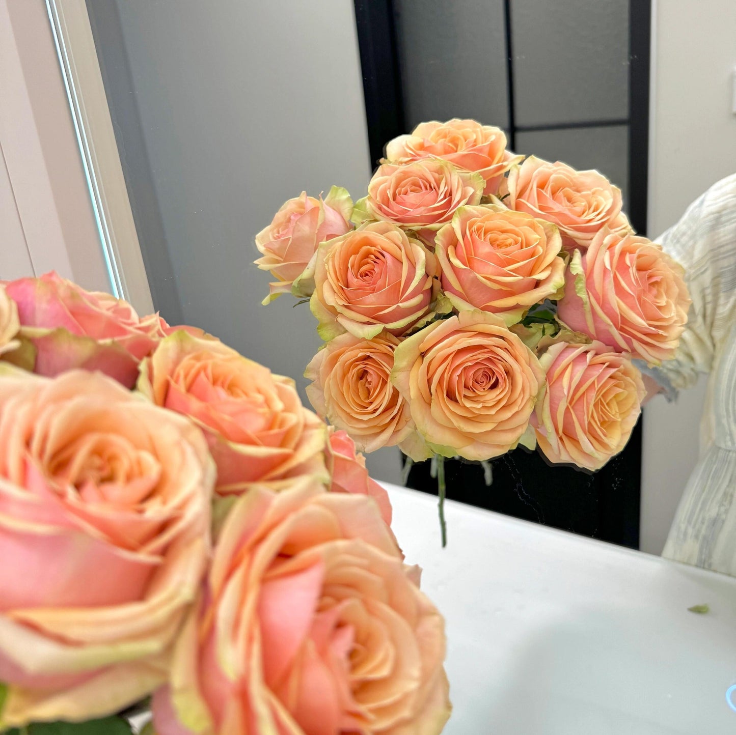 Rose  ‘ Divina ’ 迪威娜