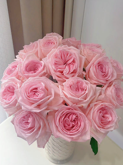Rose 'Pink O'Hara'  粉荔枝