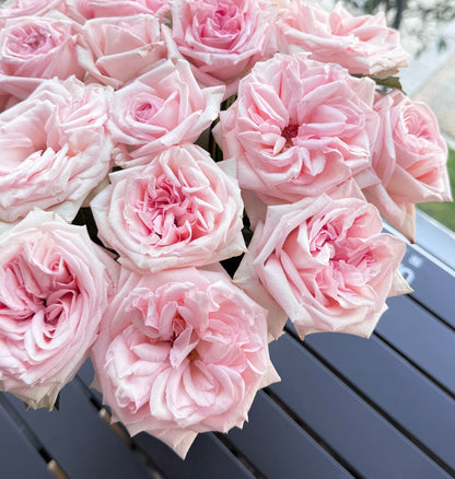 Rose 'Pink O'Hara'  粉荔枝