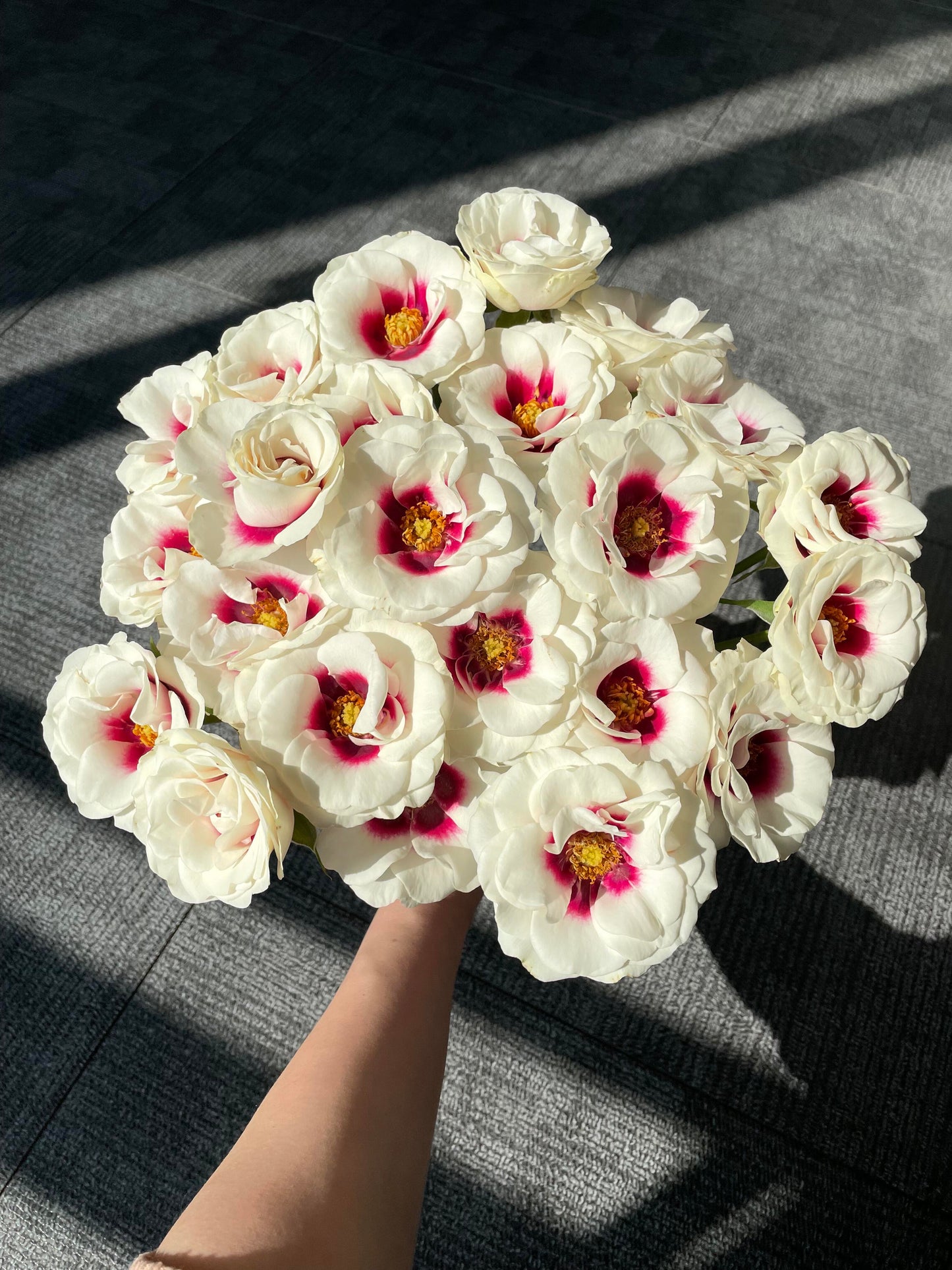 Rose ‘ Brideside | 桥边之约 ’