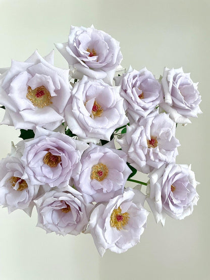 Rose 'Grawn Blue  | 蓝色格劳恩 '