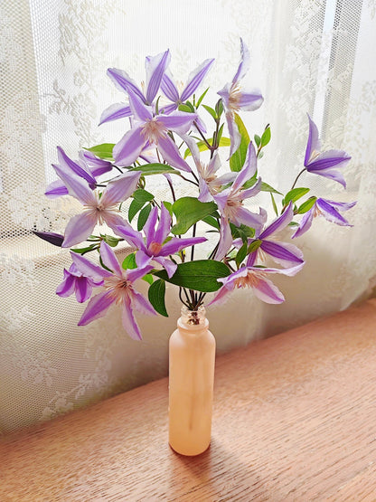 Clematis ‘Star River | 星之河流’