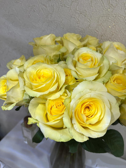Rose ' Romantic Beach' 浪漫沙滩