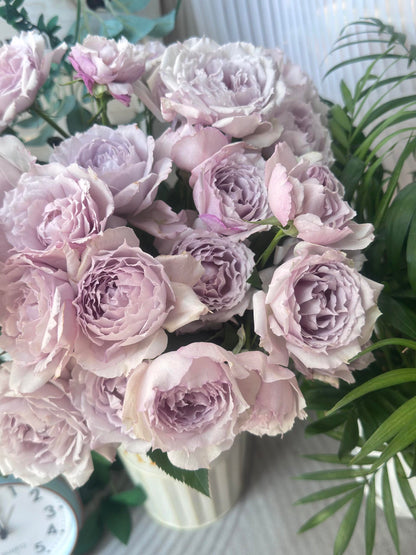 Rose ‘ Floating Moon|  Fu Yue ’  浮月