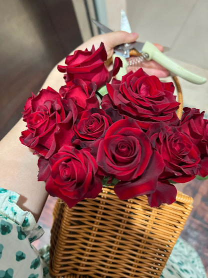 Rose ' Hallelujah | 哈利路亚