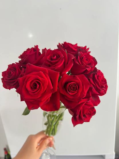 Rose ' Hallelujah | 哈利路亚
