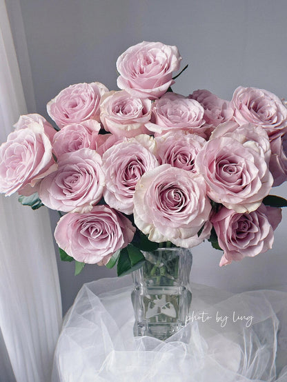 Rose ‘ Laventine  ’珂赛特