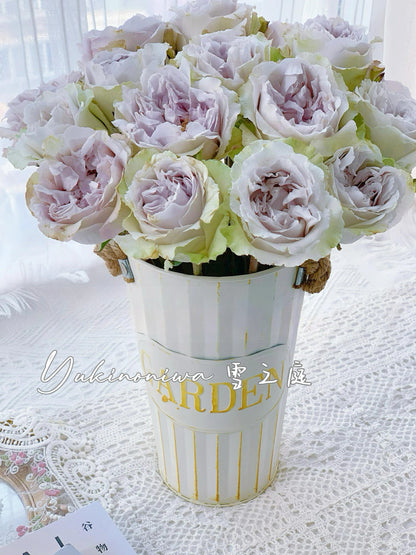 Rose  ‘  Yukinoniwa  ’ 雪之庭