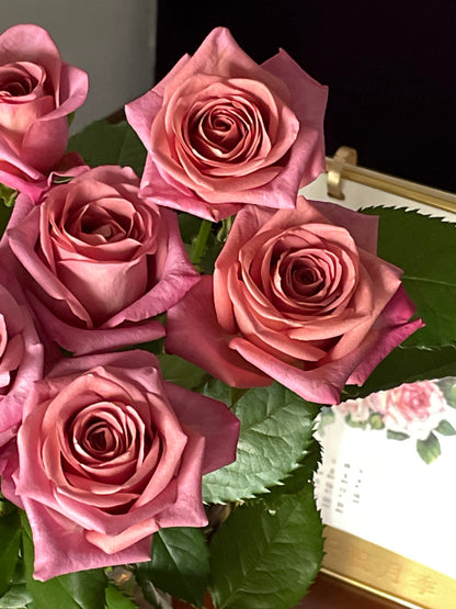 Rose  ‘Barista ’ 调香师 咖啡师 - New Variety Coffee Rosa