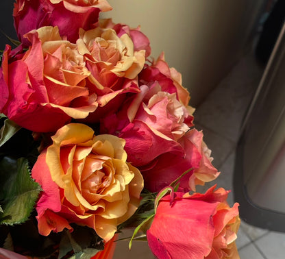 Rose  ‘   Cherry Brandy |  チエリ-プランデ- ’  樱桃白兰地