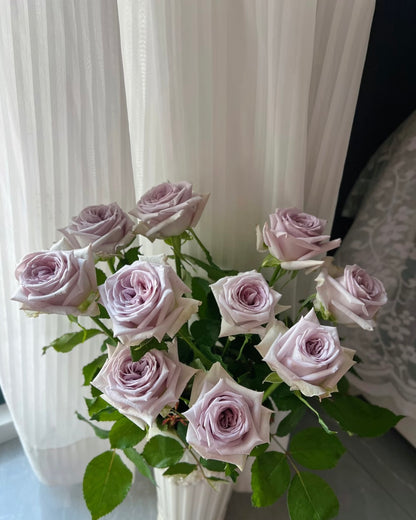 Rose  ‘ Purple O'Hara ’  紫荔枝