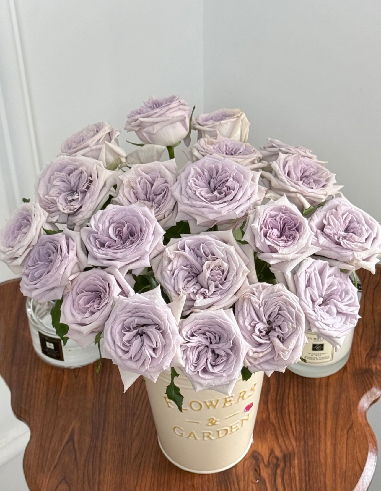 Rose  ‘ Purple O'Hara ’  紫荔枝