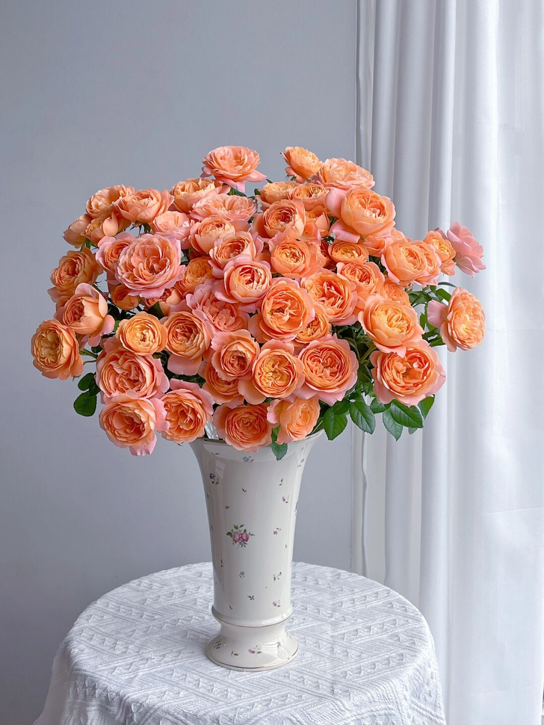Rosa 'Juiced Terrazza '果汁阳台