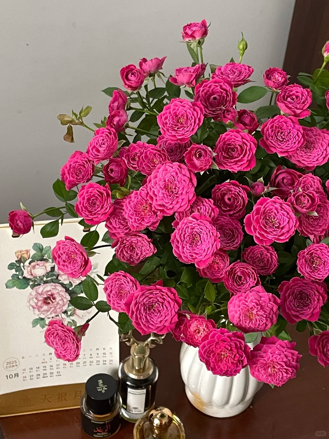 Rose 'Marriotta ' 马里奥塔