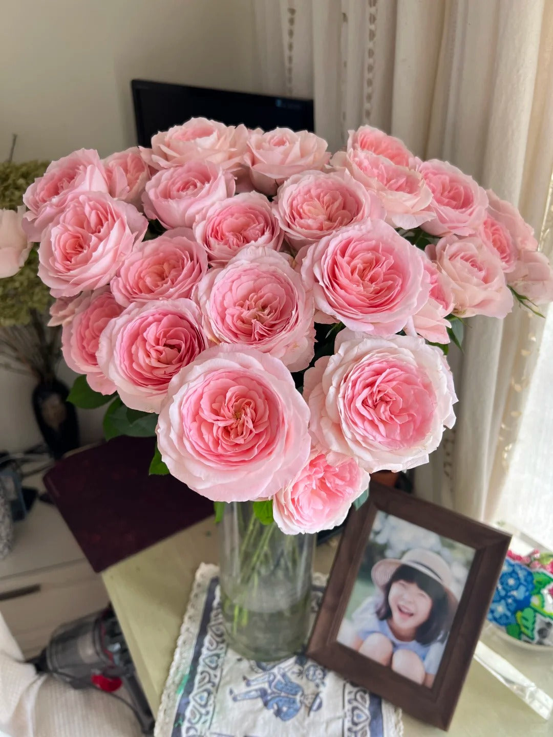 Rose 'Pamela' 粉梅拉