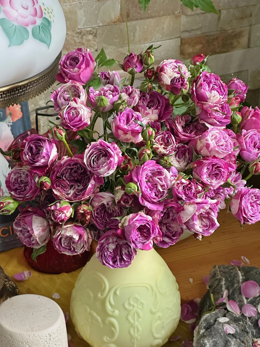 Rose ’ Scented Jewel ’ 芬芳宝石