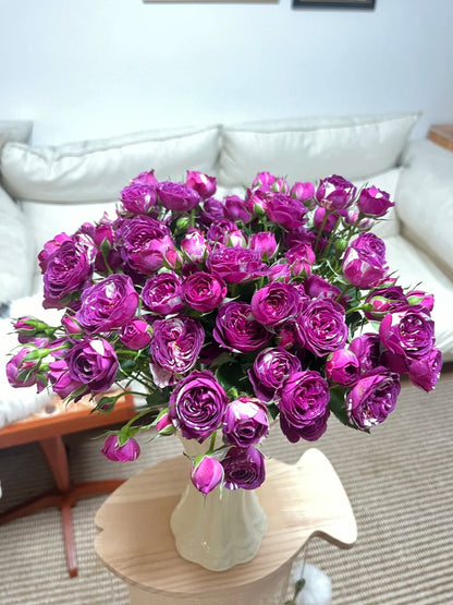 Rose ’ Scented Jewel ’ 芬芳宝石