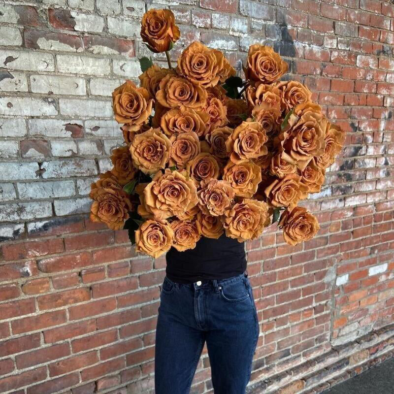Rosa 'Toffee' 太妃糖