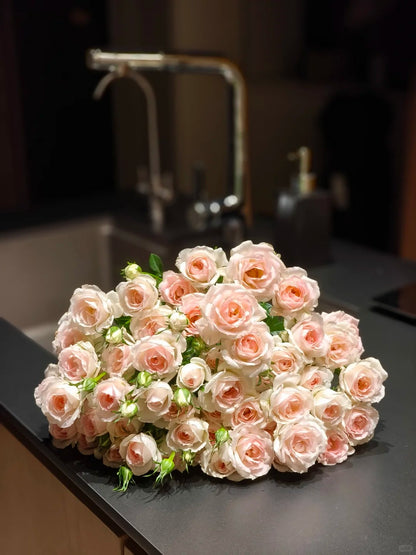 Rosa 'White Peach Ovation' 白桃妖精
