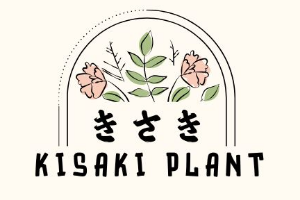 Kisaki Plant