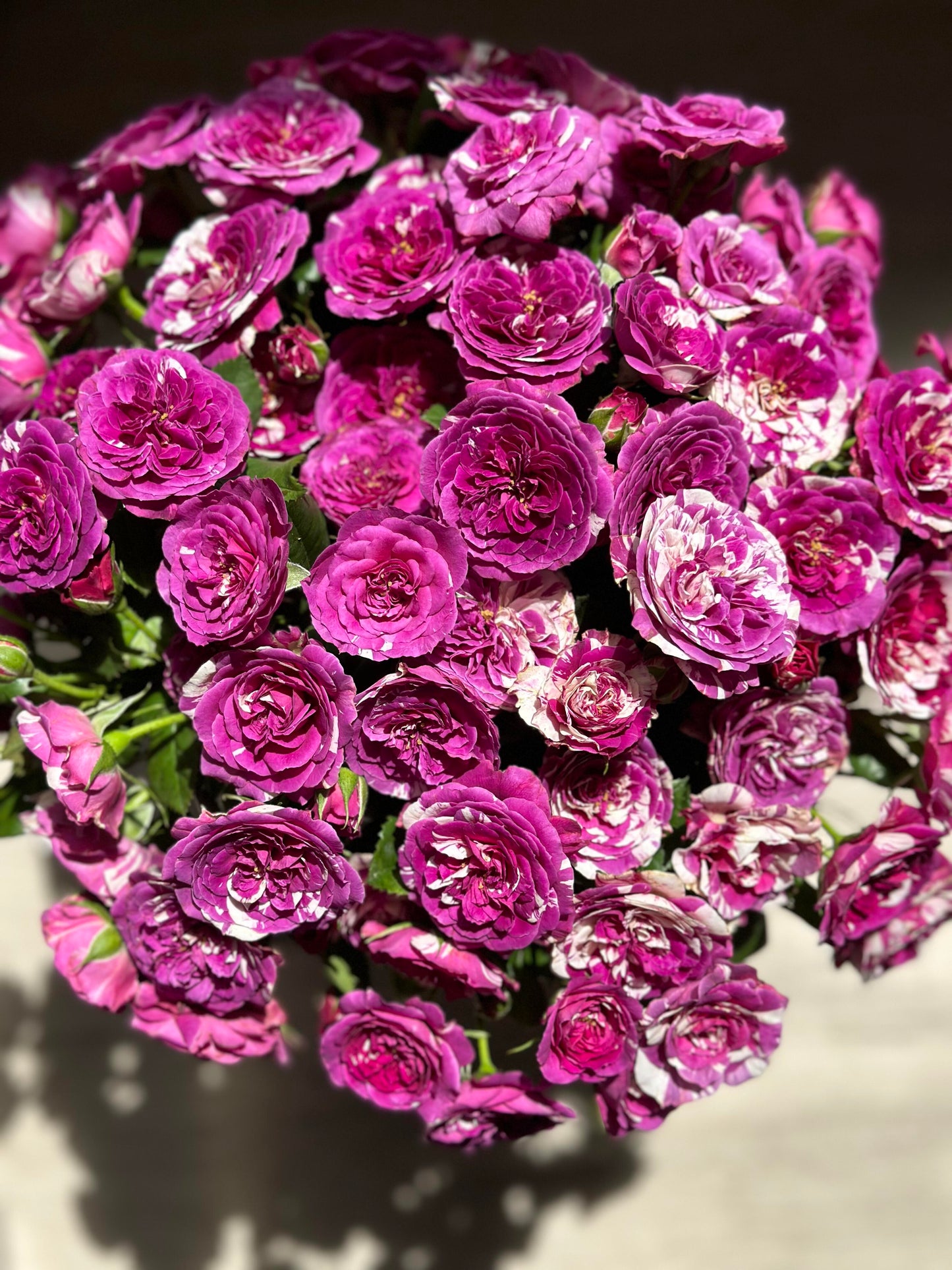 Rose  ’ Scented Jewel｜センティッドジュエル ｜芬芳宝石