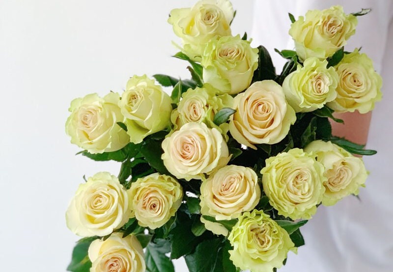 Rare Rose  ’ ダイナミック| 琉璃翠 ‘
