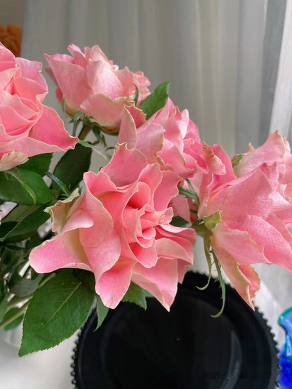 Rose  ’Japanese Tale  | 大和物语 ‘