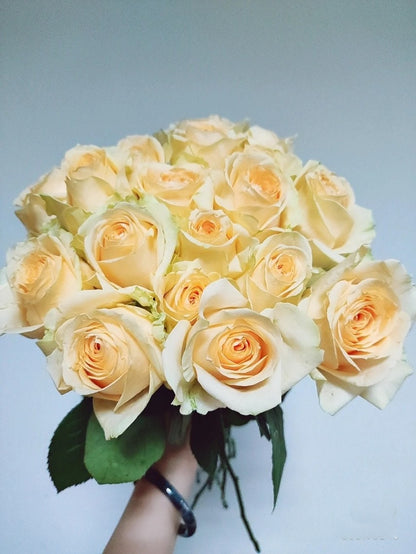 Rosa ‘Peach Avalanche  | 蜜桃雪山 ’ - Award