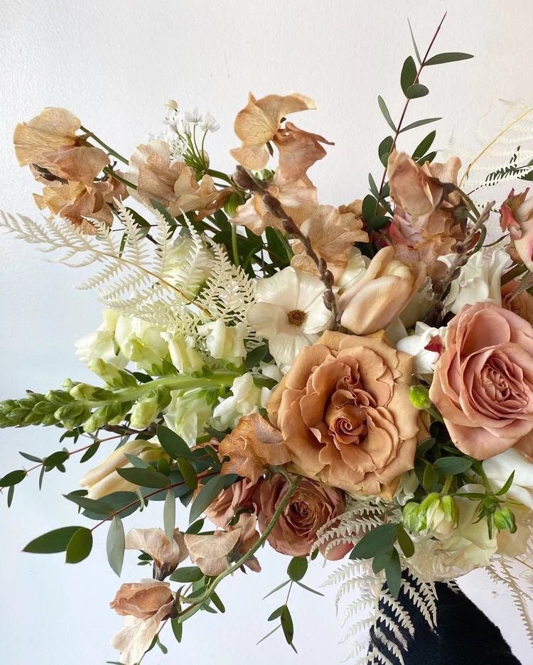 Rare Rosa ‘ Toffee  |太妃糖 ’