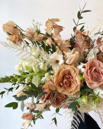 Rare Rosa ‘ Toffee  |太妃糖 ’