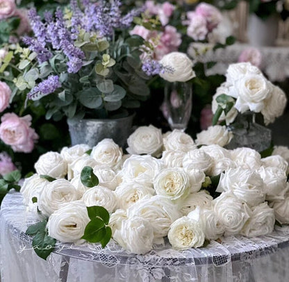 Yves Rose ' Yves Wedding Road | "Cloche de Mariage" | クロッシュドマリアージュ | 婚礼之路  '
