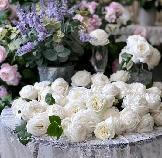 Yves Rose ' Yves Wedding Road | "Cloche de Mariage" | クロッシュドマリアージュ | 婚礼之路  '