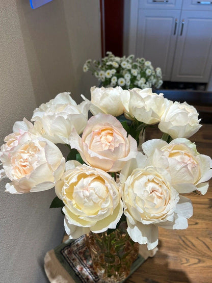 Yves Rose  ‘ Cream Yves Piaget  | 奶油伊芙  ’