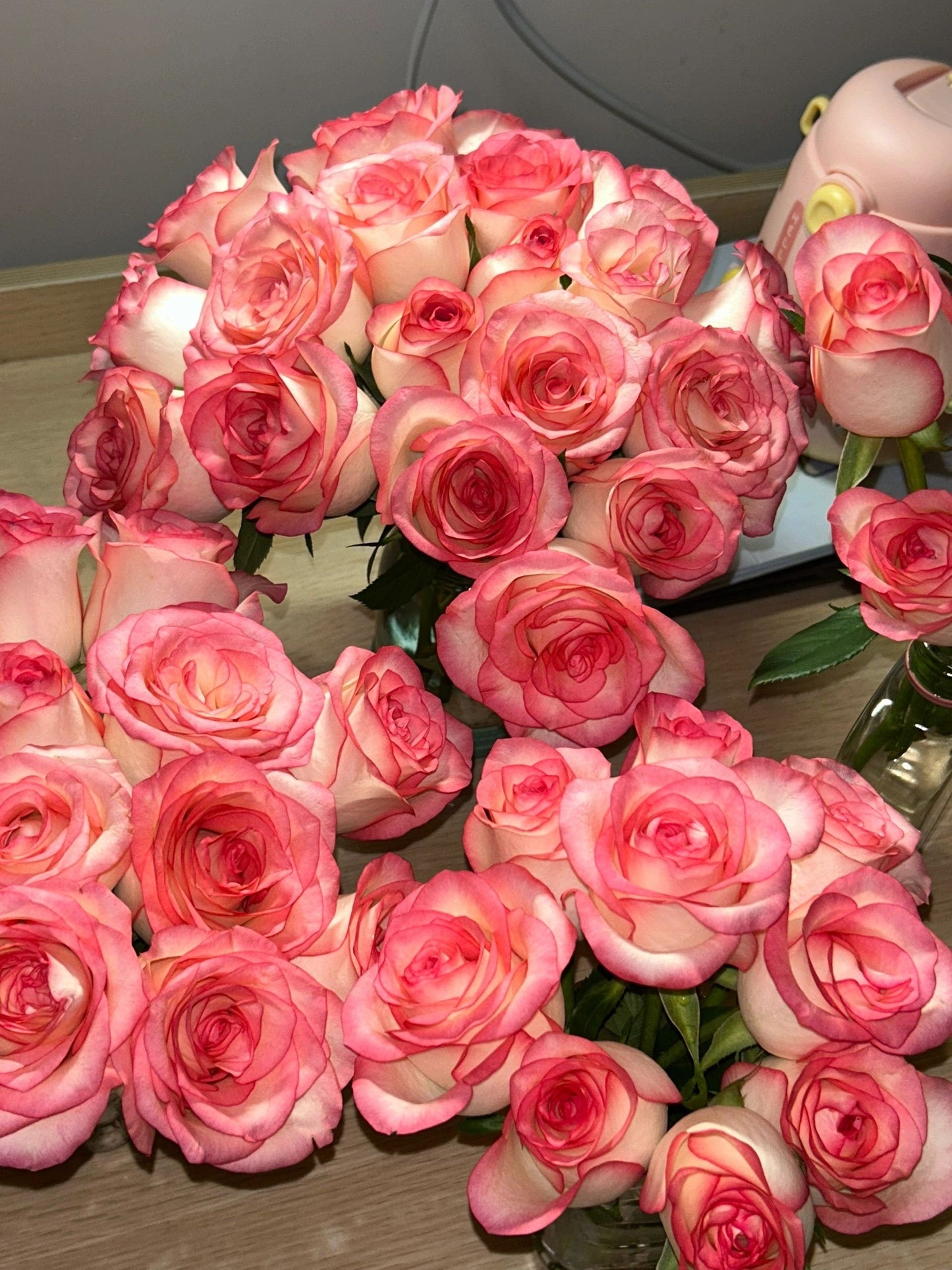 Popular Rose  ’ Jumilia | ジュミリア | 朱米莉亞 | 艾莎 ‘