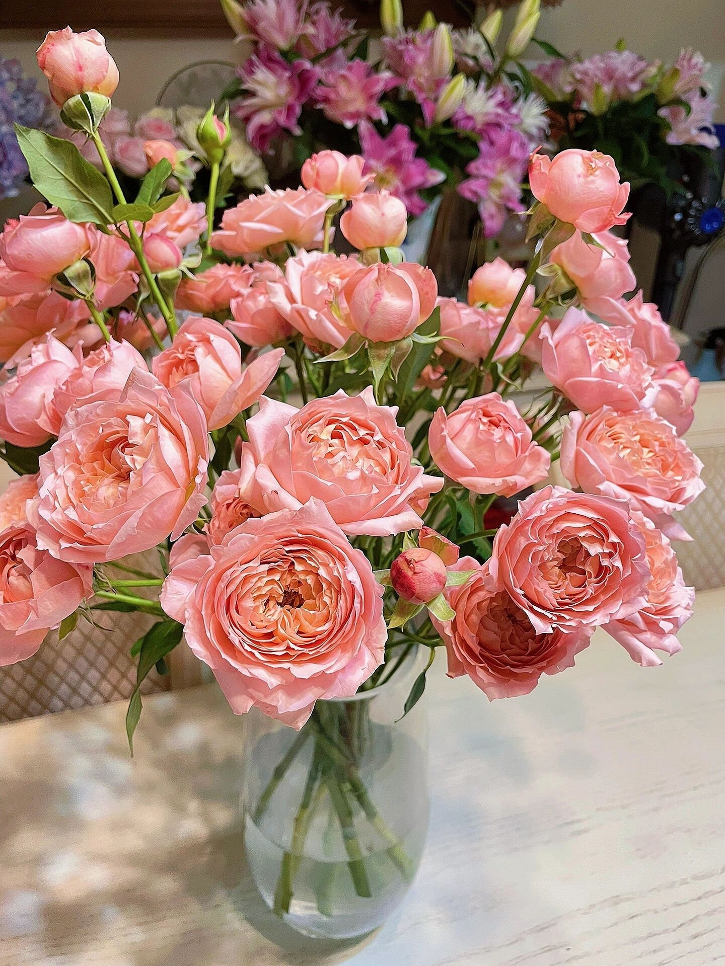 Rose  ’Julieta |ジュリエッタ バラ | 朱丽叶塔‘