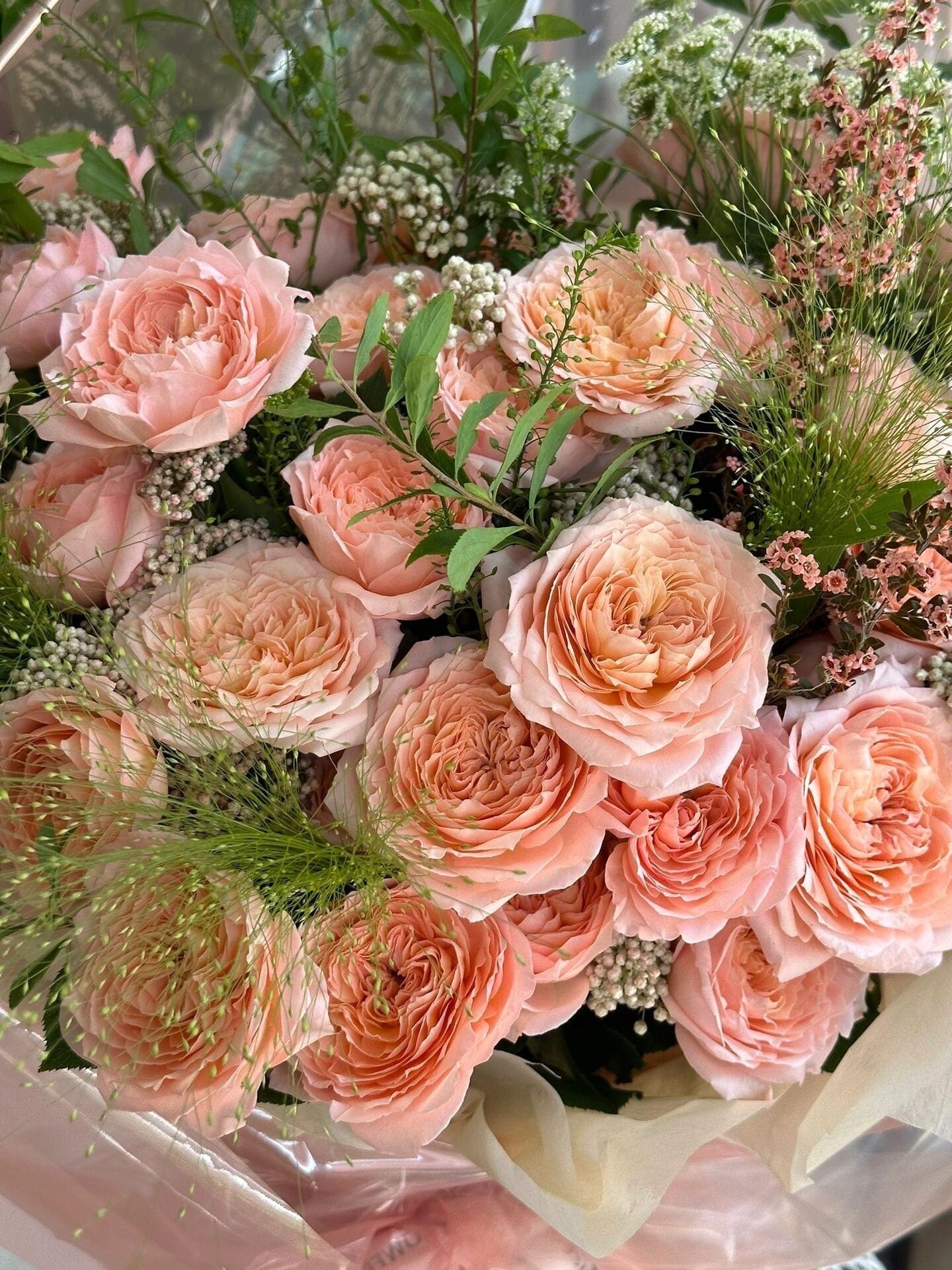 Rose  ’Julieta |ジュリエッタ バラ | 朱丽叶塔‘