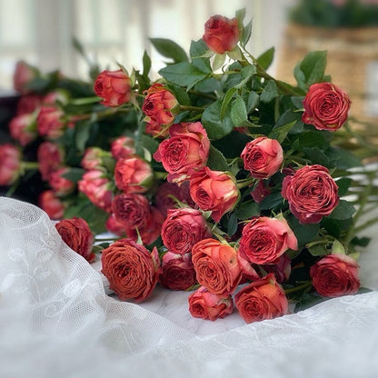 Rose ’ Chocolate Bubbles |チョコレートバブル | 巧克力泡泡