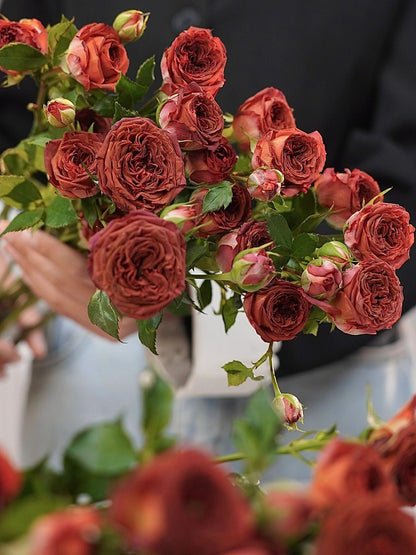 Rose ’ Chocolate Bubbles |チョコレートバブル | 巧克力泡泡