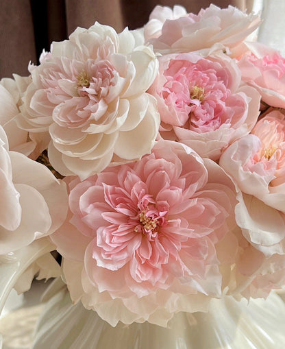 Rose  ‘ Jia Shu| 家书 ’ - New Varieties 2021