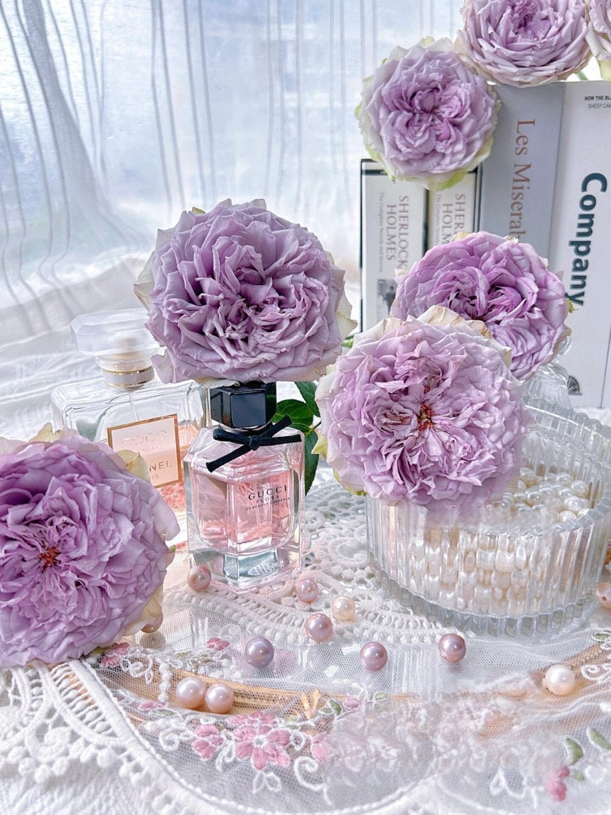 Rose ’ Coffret｜コフレ | 首饰盒 ‘