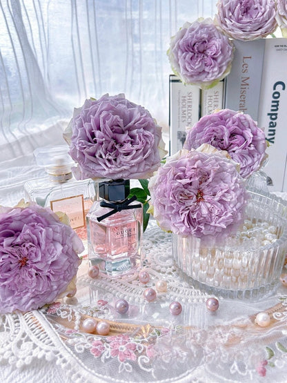 Rose ’ Coffret｜コフレ | 首饰盒 ‘