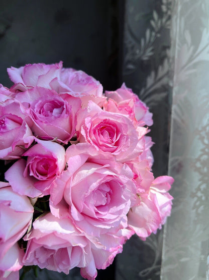 Rose  ’Rien Rose | リアン・ローズ| 絆 | 河本绊 ‘