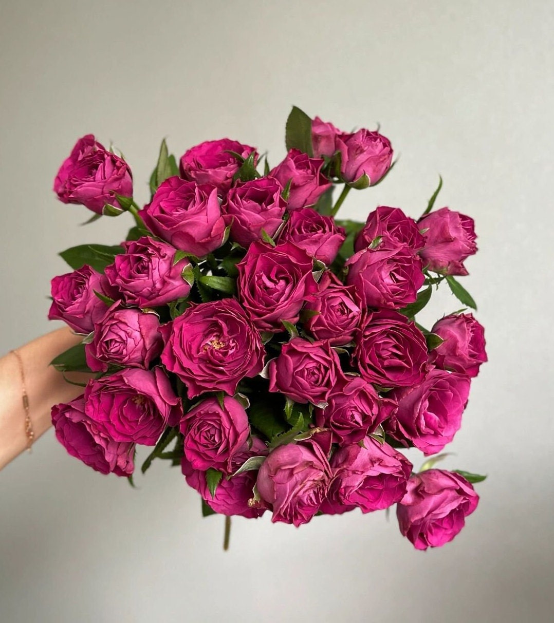 Rose  ' Precious Moments ｜珍贵时刻 '