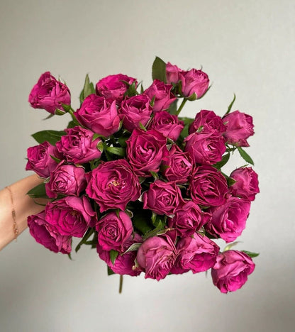 Rose  ' Precious Moments ｜珍贵时刻 '