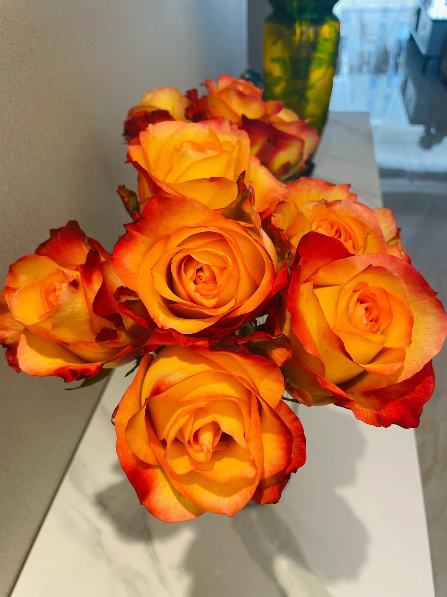 Rose  ' Golden Celebration| きんき | 金辉 ' -New variety